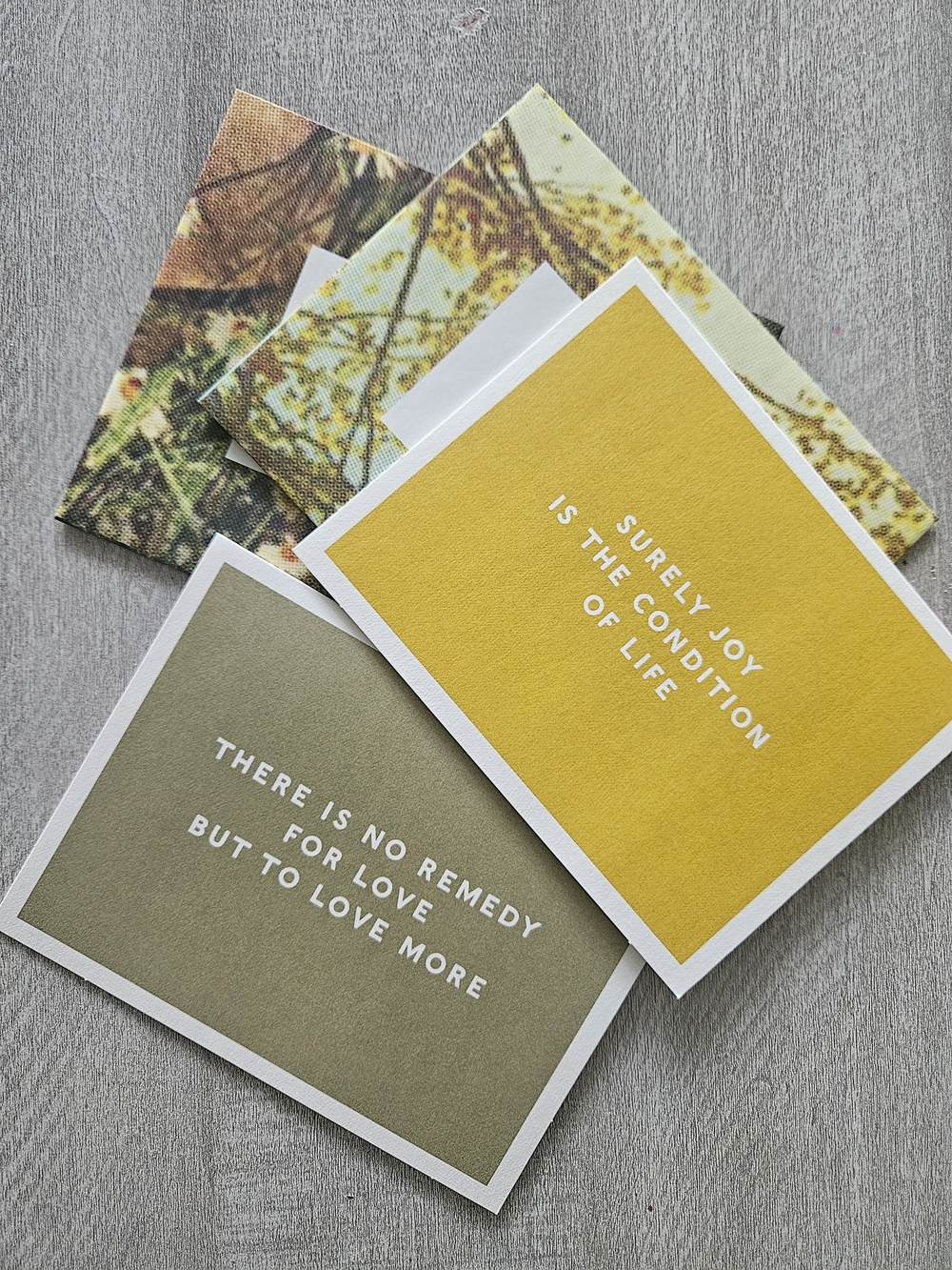 Stationary BUNDLE - 12 Cards & Envelopes